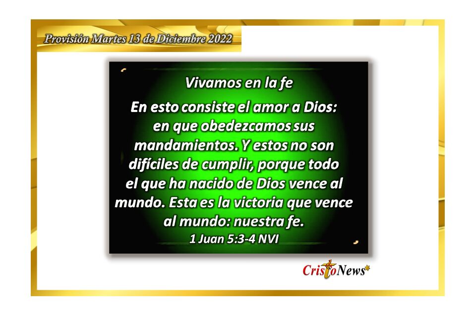 Amar a Dios a través de Jesucristo es vivir bajo sus mandamiento y principios de vida: Provisión martes 13 de Diciembre de 2022
