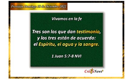 Jesucristo es el verbo que da testimonio en nuestro corazón y mente a través de su sangre y espíritu: Provisión domingo 18 de Diciembre de 2022