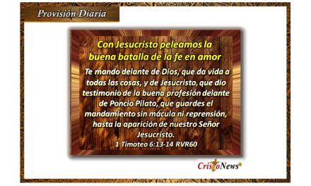 Guardemos el testimonio de Jesucristo en nosotros para que se cumpla la promesa y misericordia de Jehová: Provisión sábado 4 de marzo de 2023